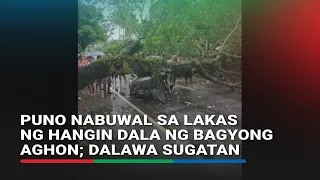 Puno nabuwal sa lakas ng hangin dala ng bagyong Aghon; dalawa sugatan