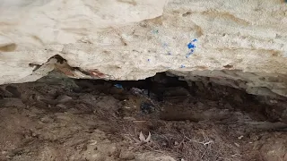 Таинственная пещера.