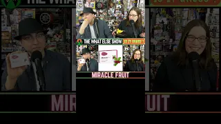 MIRACLE FRUIT | CLIP | THE WHAT ELSE SHOW