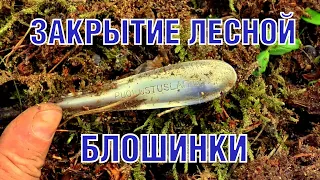 Добиваем заповедное место  Final hidden site WW2 excavations ENG SUBs