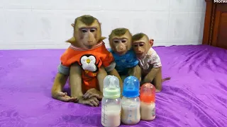 Good Attitude D0do D0nal & Molly Organized Sitting Wait Their Milk Treat, Cute & Funniest Family