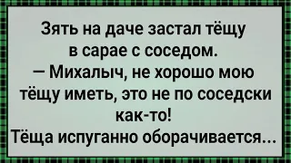 Как Теща На Даче Соседу Дала! Сборник Свежих Анекдотов! Юмор!