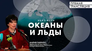 Лекция Марии Гаврило «Проект «Открытый Океан»: экологические исследования в полярных регионах»