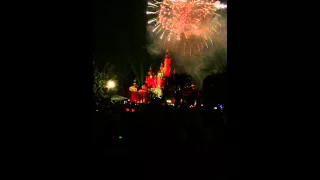 Disneyland Forever Fireworks - Circle of Life