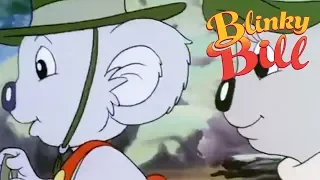 Blinky Bill - Episode 29 - Blinky Bill Goes Camping