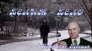 ТРОШИН Владимир  -  Белым-бело