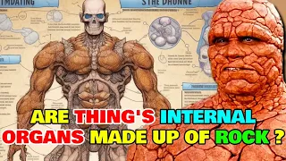 Thing Anatomy Explored - Are Thing's Internal Organs Made up of Rock? Can He Become A Father?