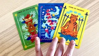 ✨🦉🐯MESSAGES FROM YOUR ANIMAL SPIRIT GUIDES🦋🦞✨ PICK A CARD TAROT READING