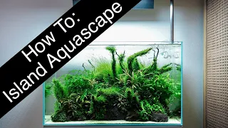 How To Create An Island Style Aquascape