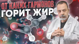 ОТ КАКИХ ГОРМОНОВ ГОРИТ ЖИР АЛЕКСЕЙ КОВАЛЬКОВ О САМЫХ СИЛЬНЫХ ЖИРОСЖИГАЮЩИХ ГОРМОНАХ- КАК ГОРЯТ ЖИРЫ