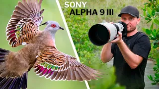 Birds In FLIGHT With 120 FPS! CRAZY Results! | Sony A9 III In Action!