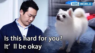 Is this hard for you? It'll be okay [Dogs are incredible : EP.158-6] | KBS WORLD TV 230221