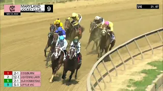 Pimlico Carrera 9 (The Chick Lang Gr.3) - 21 de Mayo 2022