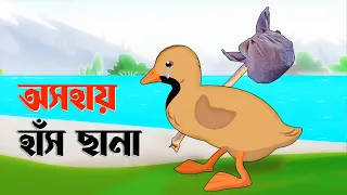 অসহায় হাঁস ছানা | Helpless Ducklings | Notun Bangla Golpo | Rupkothar Cartoon Golpo | Fairy Tales