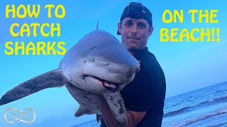 HOW TO CATCH BLACK TIP AND SPINNER SHARKS FROM THE BEACH (FF Episode 18, Season 1)