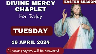 Chaplet of divine mercy for Today Tuesday 16 April 2024 ||Daily Divine Mercy Chaplet