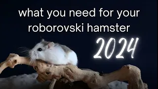 What you need for your roborovski hamster in 2024 | essentials, nice to have and what not to buy