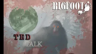 BIGFOOT Mixed Theories