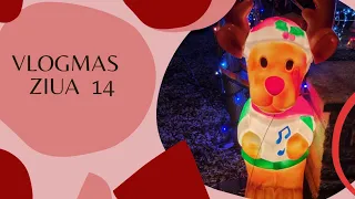 🎄VLOGMAS ZIUA 14🎄Haul de cumpărături şi Luminițe de Crăciun