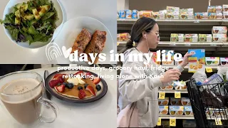 days in my life: restocking & cleaning our fridge, productive days, errands, grocery haul