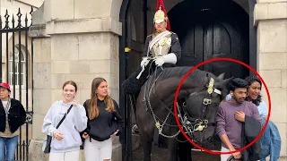 Hilarious Reaction Man vs Horse. 😂 The King’s Guards