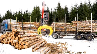 Loading birch logs with the new truck