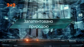 Запатентовано природою – Загублений світ. 113 випуск