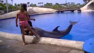 Dolphin Show @ Aqualand Tenerife