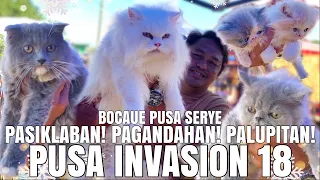 PASIKLABAN! PAGANDAHAN! PALUPITAN! | PUSA INVASION 18 | BOCAUE PUSA SERYE | December 15, 2023