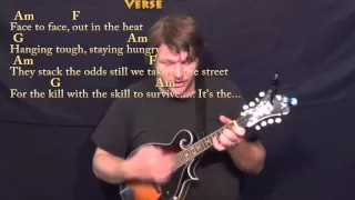 Eye of the Tiger (Survivor) Mandolin Cover Lesson in Am with Chords/Lyrics