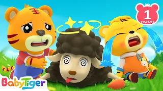 Let's Shear The Baa Baa Black Sheep! | Sheep Song | BabyTiger Nursery Rhymes & Animal Songs For Kid