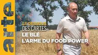 Le blé : un enjeu de food power - Le dessous des cartes | ARTE