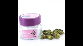 The Crescendo Strain Review Featuring THC Design From Market Run Delivery In Los Angeles