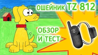 🐶Почему электронный ошейник для собак TZ 812 лучший? Обзор🐶