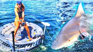 Craziest Fishing Videos Ever Seen! There’s Always A Bigger Fish Sharks
