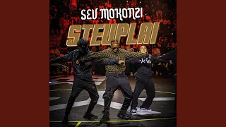 Steuplai