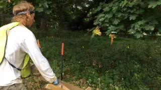 Archaeological Dig at Shofuso Japanese House in Philadelphia, July 30, 2015