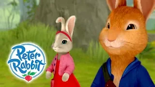 Peter Rabbit - Run Rabbit Run | Sing Along! | Cartoons for kids