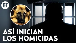 Homicidas y delincuentes: muchos comenzaron maltratando animales o mascotas, advierten