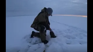 Да он в лунку не лезет. Первый лед 2019-2020 Рыбалка в Якутии.