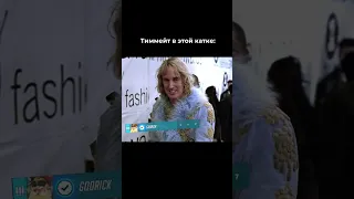 Типичный Тиммейт