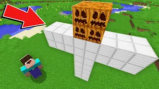 Minecraft NOOB vs PRO: WHY NOOB SPAWN THE MOST POWERFUL GOLEM IN THE VILLAGE ? 100% trolling