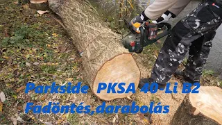 Parkside PKSA 40-Li B2 akkus láncfűrész fadöntés, darabolás ( kb. 40cm átmérő)