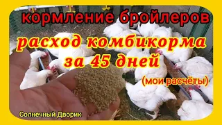 Бройлеры.Сколько комбикорма надо на 1 бройлера, затраты на 1кг мяса. Выгодно или нет!!!