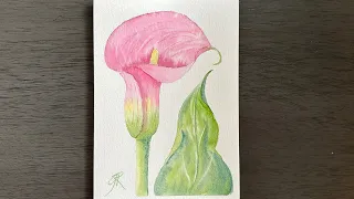 Paint a Calla Lily with Watercolors!