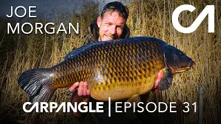 CARP FISHING | CARP ANGLE 31 | JOE MORGAN | WINTER WANDERING!