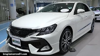 Toyota Mark X 250S "Modellista Aero Kit"