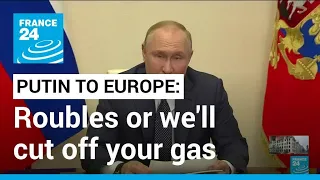 Putin tells Europe: Pay in roubles or we'll cut off your gas • FRANCE 24 English
