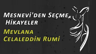 Mesnevi'den Hikayeler/Mevlana Celaleddin Rumi-Sesli Kitap