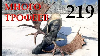 TheHunter Call of the Wild ТАЙГА.  ЛОСИ.  МЕДВЕДИ и СЕВЕРНЫЕ ОЛЕНИ # 219